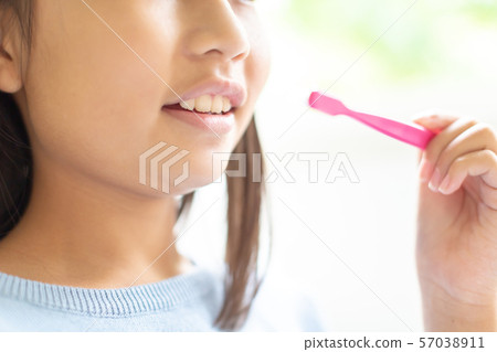girl, young girl, tooth brush 57038911