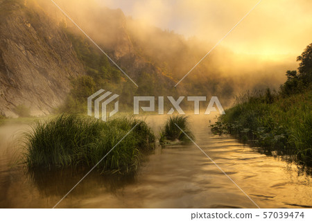 Foggy dawn on the river. Foggy dawn on the river. 57039474