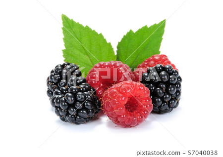 Group of ripe forest fruits 57040038