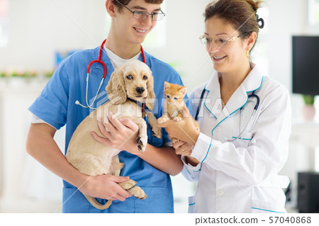 Vet with dog and cat. Puppy and kitten at doctor. 57040868
