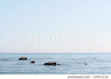 Calm coastal view with birds on the rocks in the 57041114