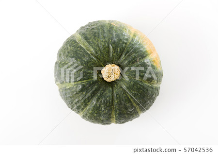Botchan Pumpkin Botchan Pumpkin 57042536