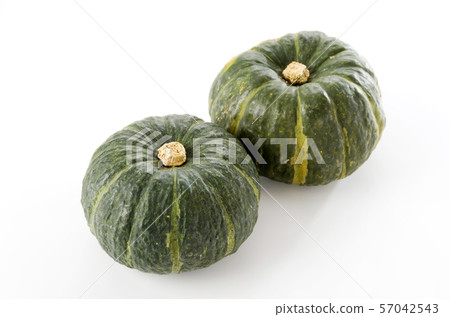 Botchan南瓜 57042543