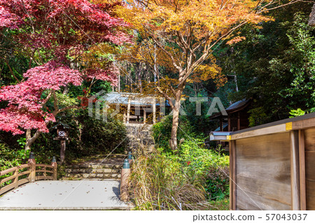 Kamibashi和Uchimiya Hyuga Daijingu Kamibashi和Uchimiya Hyuga Daijingu 57043037