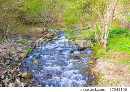 May [Fukushima Prefecture Minamiaizu] Moss, fresh green and clear stream on the way to Ouchijuku 57043106
