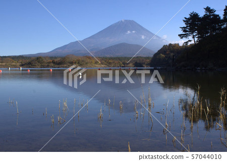 Mt. Fuji overlooking Lake Shoji 57044010