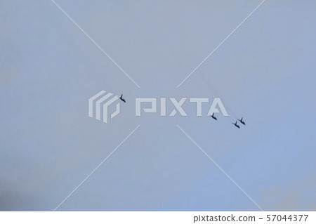 Formation flight training jet fighter formation flight 57044377