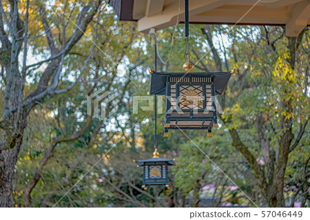 Yodogawa Shrine Hanging Lantern 57046449