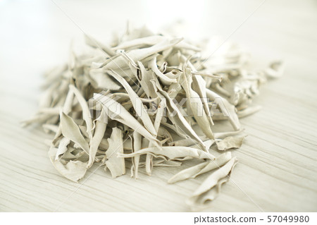 White sage leaf White sage leaf 57049980