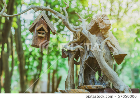 Hand made wooden bird house nest  in public Park , 57050006