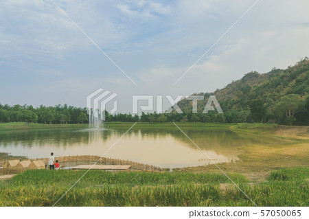Back view of Mom and son are resting and taking care of their ducks in the evening Back view of Mom and son are resting and taking care of their ducks in the evening 57050065