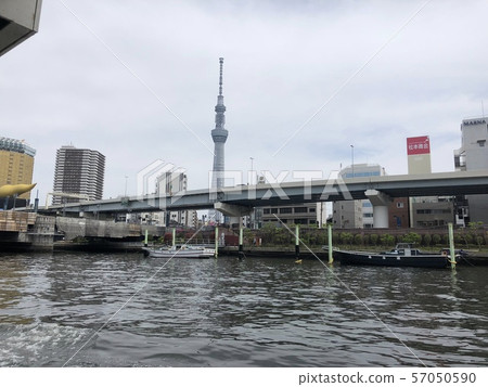 天空樹和河 57050590