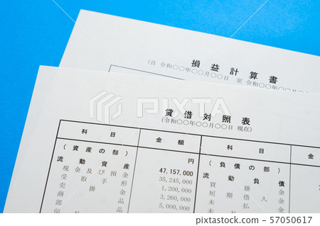 [Photo Material] Financial Statement Business Scene Balance Sheet Income Statement Corporation Final Report 57050617