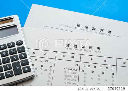 [Photo Material] Financial Statement Business Scene Balance Sheet Income Statement Corporation Final Report 57050619