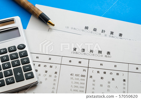 [圖片資料]財務報表業務場景資產負債表損益表公司最終報告 57050620