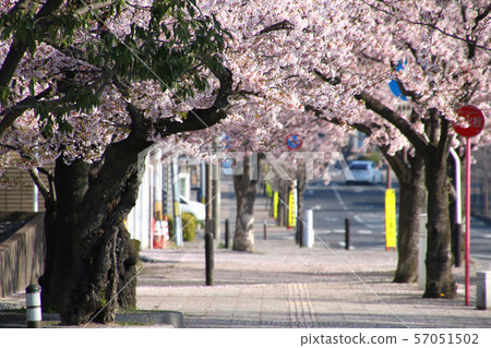 Spring Koriyama City Public Hall (Koriyama City, Fukushima Prefecture) 57051502