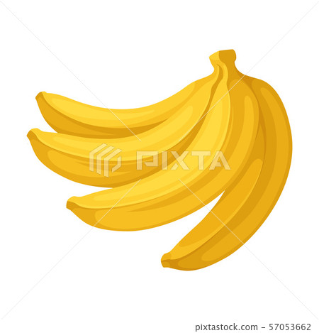 Four bananas in a bunch. Vector illustration on a white background. 57053662