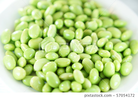 泥巨獸 泥巨獸 57054172