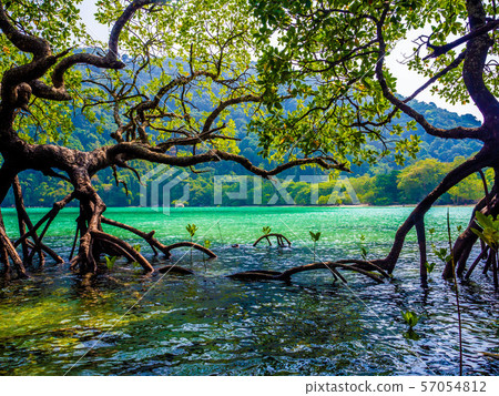 Mai Ngam Beach in Mu Koh Surin National Park, Phang-nga, Thailand : March 2019 57054812