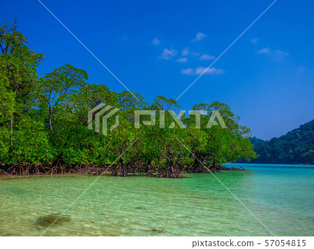 Mai Ngam Beach in Mu Koh Surin National Park, Phang-nga, Thailand : March 2019 57054815