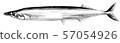 pike 57054926