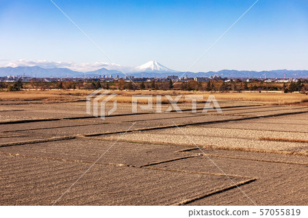 在冬天從荒川河床看到的富士山 在冬天從荒川河床看到的富士山 57055819