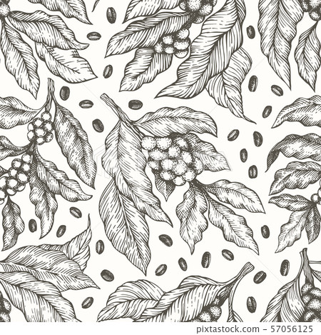 Coffee tree branch seamless vector pattern. - Stock Illustration ...