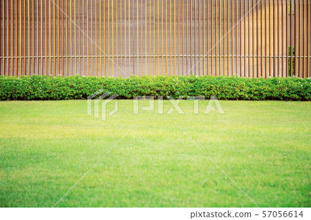 Lawn in garden. 57056614