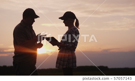 Man and woman farmers communicate with each other. In the evening at sunset they stand in the field 57057143