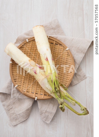 Mountain Udo Mountain Udo 57057568