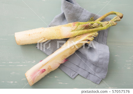 Mountain Udo 57057576