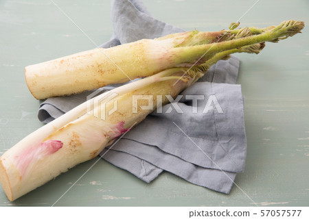 Mountain Udo 57057577