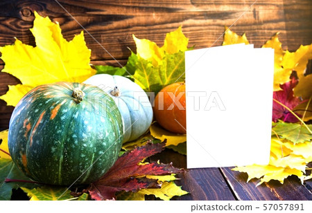 White blank, maple leaf and pumpkins on wood 57057891