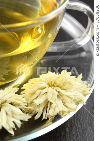 chrysanthemum tea from dried white chrysanthemum chrysanthemum tea from dried white chrysanthemum 57058236