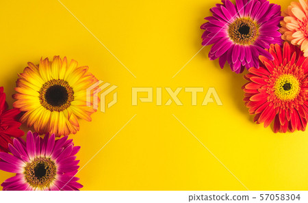 Bright beautiful gerbera flowers on sunny yellow background. Bright beautiful gerbera flowers on sunny yellow background. 57058304