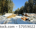 woodpile in the winter forest with snow 57059022