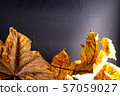 pile of colorful autumn foliage on a dark 57059027