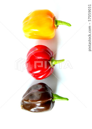 fresh colorful habanero chili peppers isolated on 57059031
