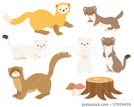 Itachi Ten Okojo Iizuna插圖集 57059439