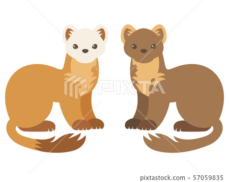 Matsuten（夏季頭髮/冬季頭髮）的插圖 57059835