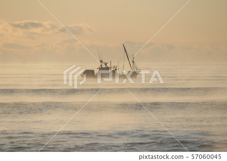 Hair storm Hair storm 57060045