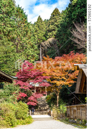 The outer shrine Itagaki Omon and autumn leaves Hyuga Daijingu 57060192