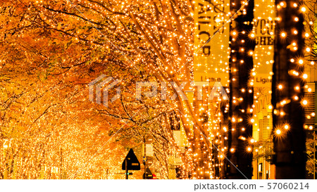 Illumination (Marunouchi) 57060214