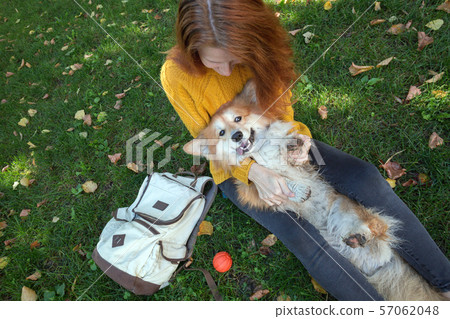 girl and dog 57062048