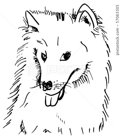 A vector pen and ink drawing of a smililng... - Stock Illustration  [57063305] - PIXTA