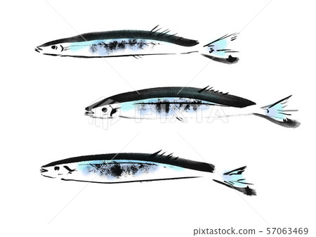 秋刀魚,三馬,秋刀魚,魚,秋天,秋季成分,季節,魚,藍魚,圖,Sumi-e,日式,刷寫作,手繪,日本食品 秋刀魚,三馬,秋刀魚,魚,秋天,秋季成分,季節,魚,藍魚,圖,Sumi-e,日式,刷寫作,手繪,日本食品 57063469