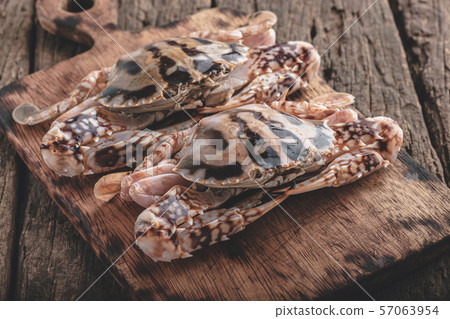 Charybdis cruciata Sea Animal. Charybdis cruciata Sea Animal. 57063954