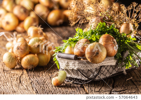 Bundle of freely lying dried onion with parsley Bundle of freely lying dried onion with parsley 57064643