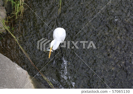 A shrine A shrine 57065130