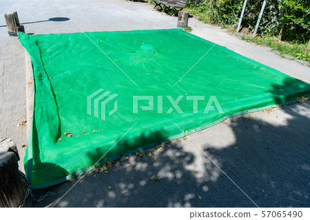 沙箱貓排斥網動物網 沙箱貓排斥網動物網 57065490